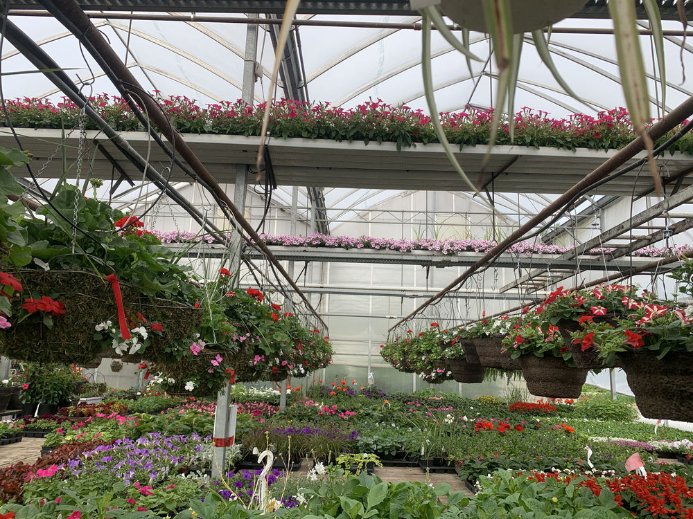 Greenhouse