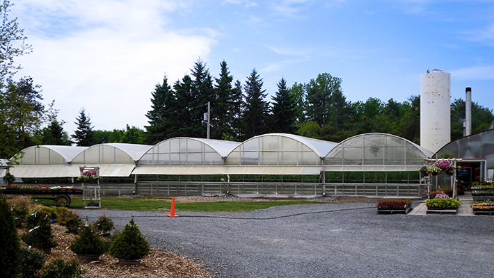 greenhouse